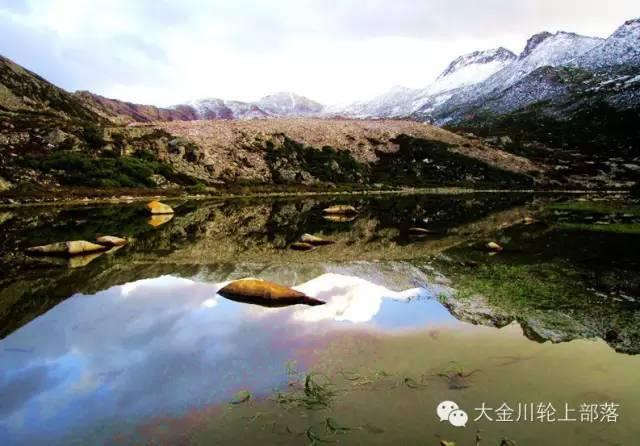 冰箱彩电大沙发,正在淹没特斯拉